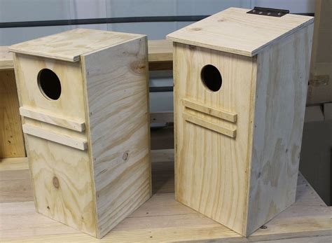 metal parrot nest boxes|lorikeet nesting box plans.